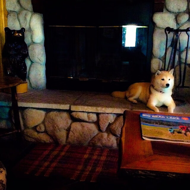 九游下载官网-_亲子乐园：少年儿童与父母共诉运动梦想_，亲子共同参与