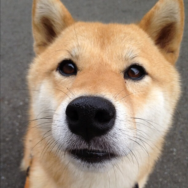 九游娱乐官方-互动直播新玩法：弹幕、投票、奖励丰富观众体验，直播弹幕抽奖技巧